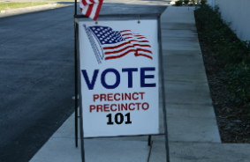 Precinct Vote Sign